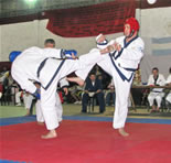 danes combate